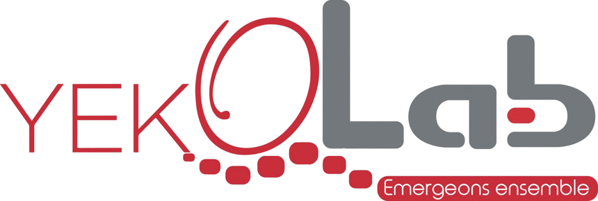 Incubateurs des technologies et entreprenariat numériques